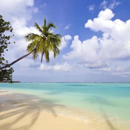 Cute Guest Suite In Kailua With Ac!!! Εξωτερικό φωτογραφία